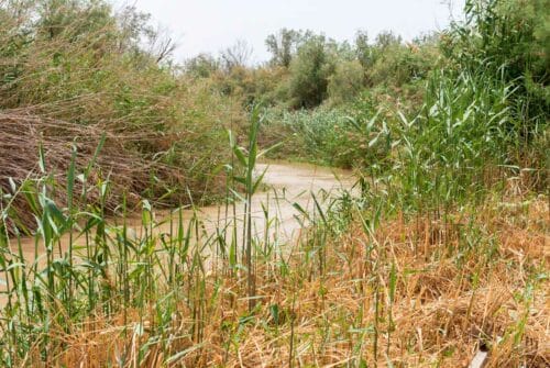 The baptismal site of Qasr al-Yahud on the Jordan River