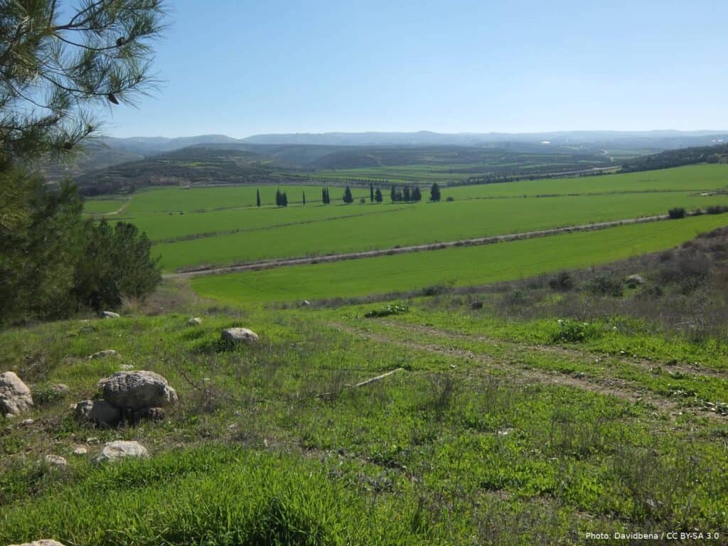 The Valley of Elah in winter, looking across green fields toward the surrounding hills of the Shephelah